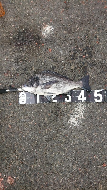 残念1cm足りない❗