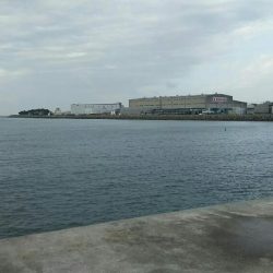 投げ釣りでキス、カレイ、サビキでアジ、サヨリ