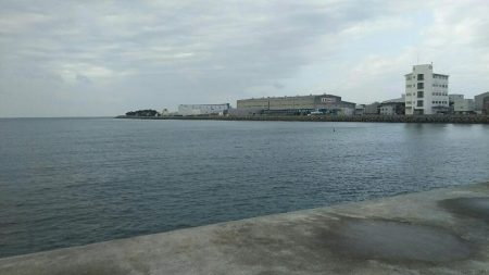 投げ釣りでキス、カレイ、サビキでアジ、サヨリ