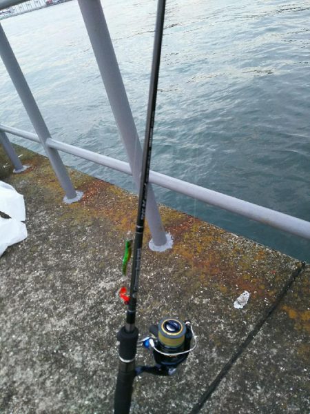 明るくなり一瞬の地合