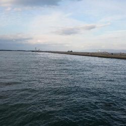 少し大きくなりました。