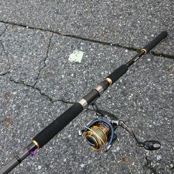 青物ルアーを無視