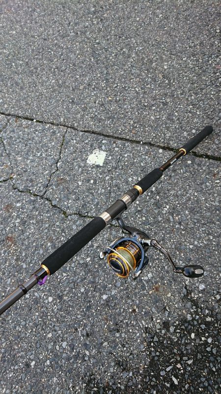 青物ルアーを無視