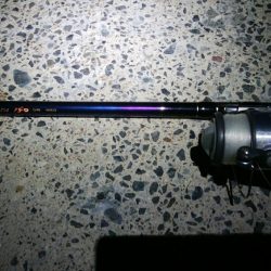 イワシで穴子が釣れました!