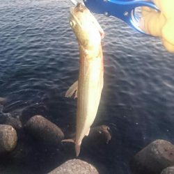 仕事終わりに。