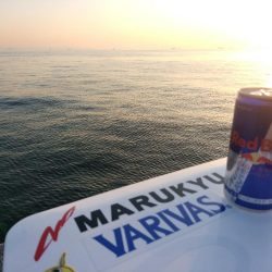 やっぱり不完全燃焼～太刀魚