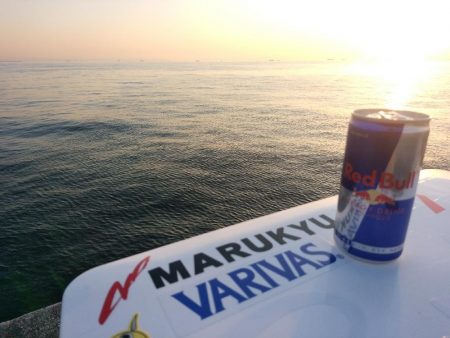 やっぱり不完全燃焼～太刀魚