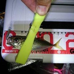 ライトゲーム楽しい！