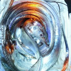 堪能出来ました