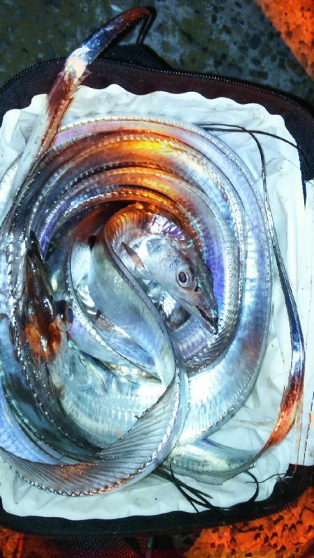 堪能出来ました