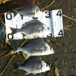 改めて早朝の部！