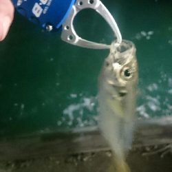 爆風ライトゲーム