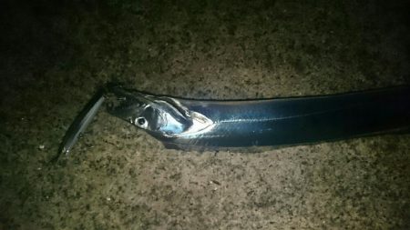 ショートバイトはあるものの