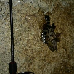 長距離ランガン!!