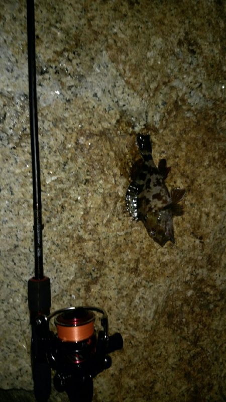 長距離ランガン!!