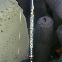 釣り部 釣行記 5