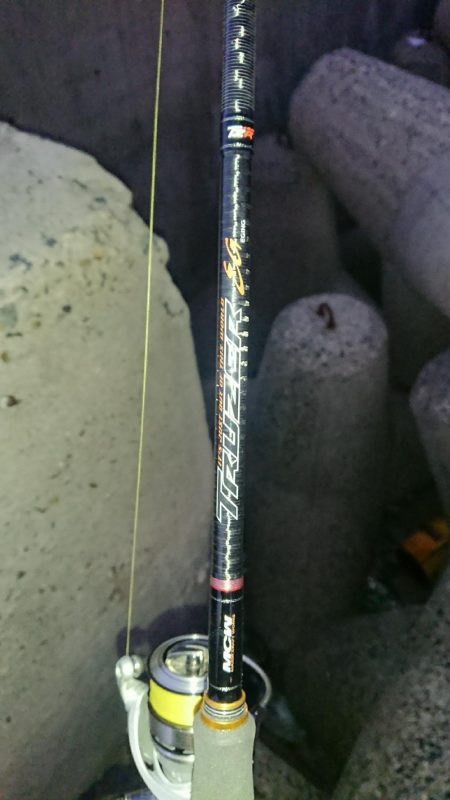 釣り部 釣行記 5