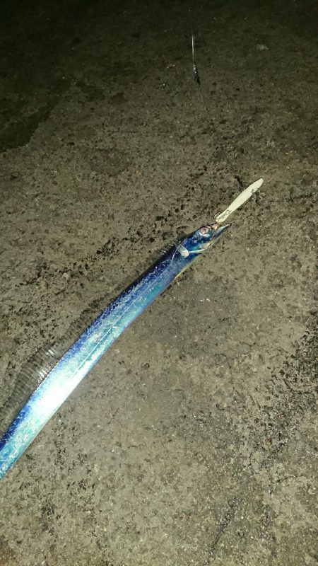 釣り部 釣行記 7