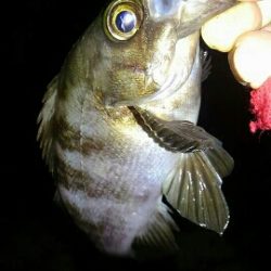 ２日連続25アップ