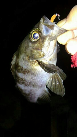 ２日連続25アップ