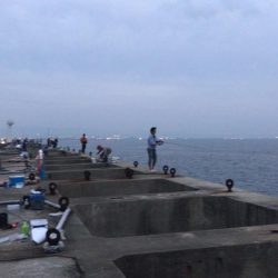 タチウオワインド