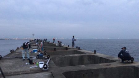 タチウオワインド