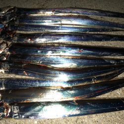 連日またまたタッチー(^^)