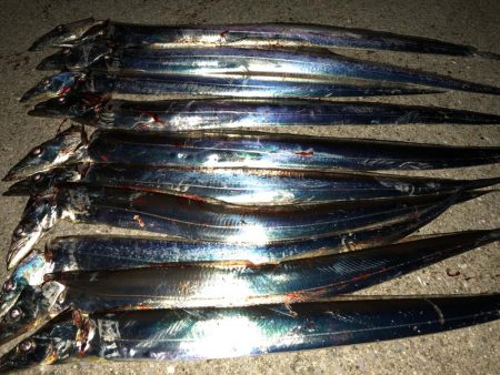 連日またまたタッチー(^^)