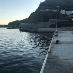 メッキ高活性!テトラ際で大メバルも。