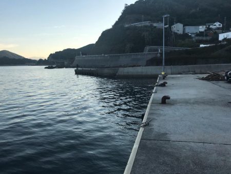 メッキ高活性!テトラ際で大メバルも。