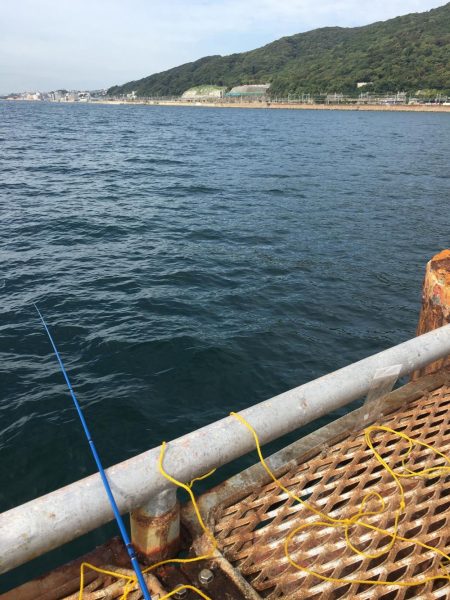 ノマセ釣りとショアジギング