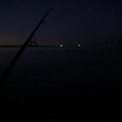 連日のワインド釣行(^^)