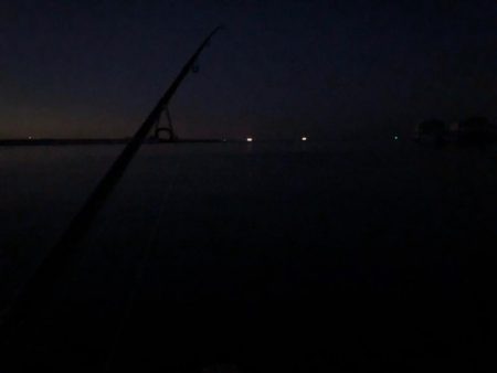 連日のワインド釣行(^^)