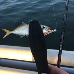 ジギングからのアジング