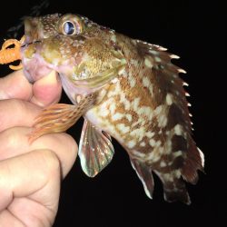 ワームでボトム