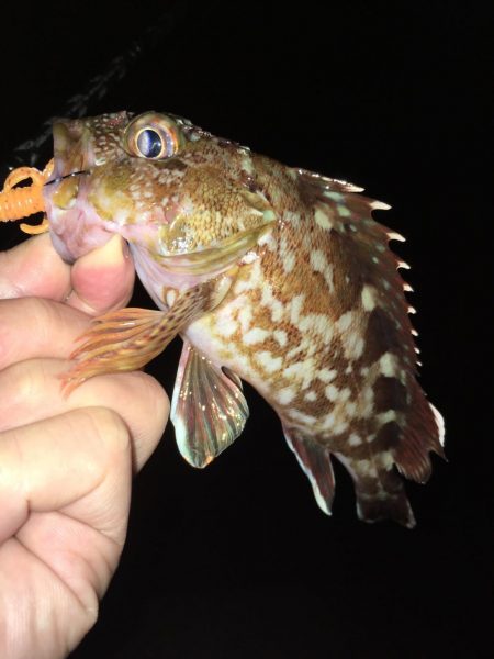 ワームでボトム