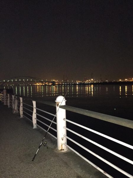 ドラゴンには届かず