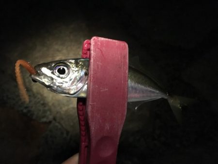 高活性ライトゲーム