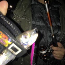 メタルでイワシ