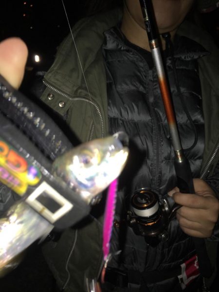 メタルでイワシ