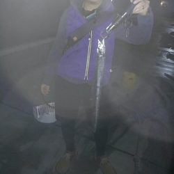 ベイトは多いけど、、