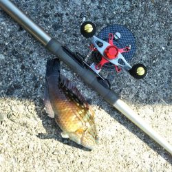 初、垂水一文字だが…