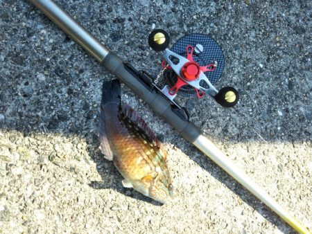 初、垂水一文字だが…