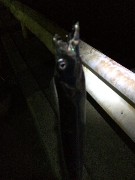 流木に邪魔され無念