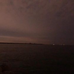 今宵もタッチーチャレンジ(^^)