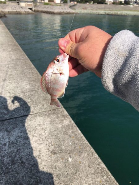 アジング道場 2日目