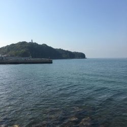 秋の晴れ間に風に吹かれて