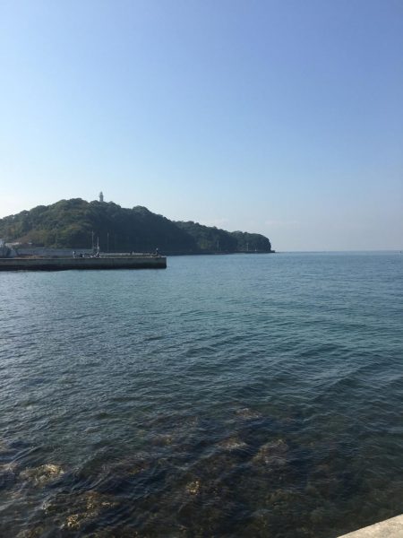 秋の晴れ間に風に吹かれて