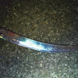 初めての仕掛けにて