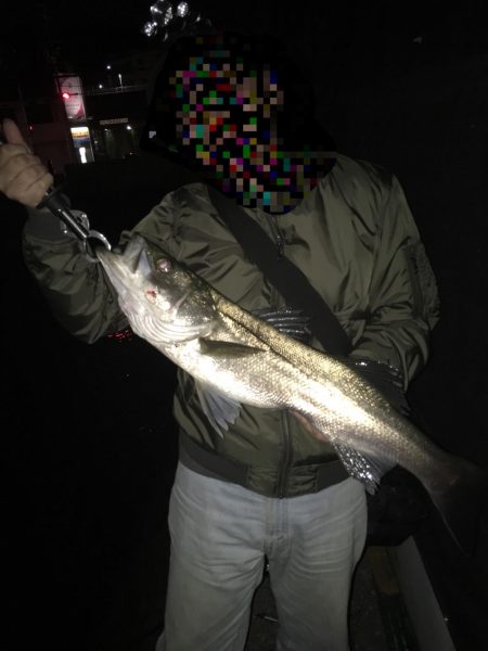 ランカー届かず